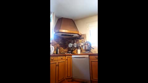 boyaroues online show from May 2026 08:01:01 AM