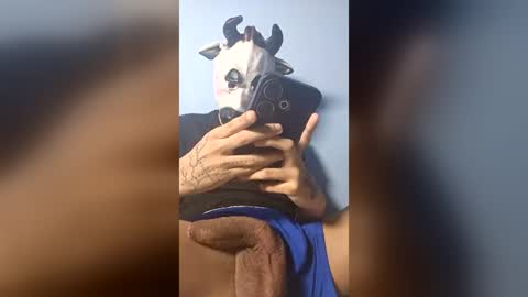 boycock25cm online show from July 2026 06:08:02 AM