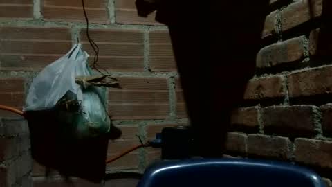 Boy online show from October 2025 02:53:02 AM