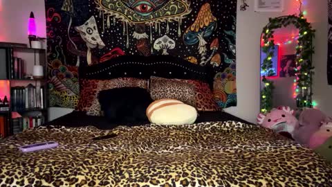 Snapshot of boysdroollx chatting on February 2025 12:37:02 PM Puddin online show from February 2025 12:37:02 PM