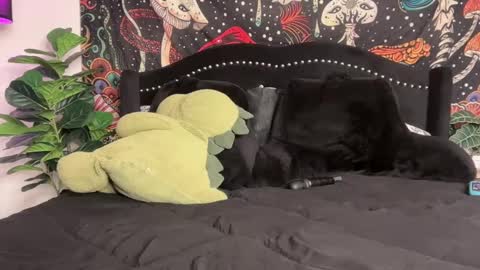 Snapshot of boysdroollx chatting on September 2025 12:01:02 AM Puddin online show from September 2025 12:01:02 AM