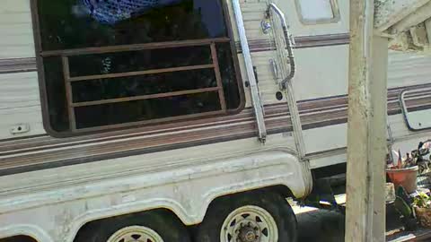 Snapshot of bpdbrittany chatting on February 2025 05:33:01 PM bpdbrittany online show from February 2025 05:33:01 PM