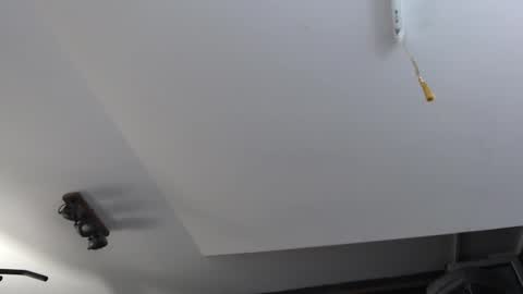 Snapshot of brad_pittfall chatting on March 2025 11:38:02 PM ask me online show from March 2025 11:38:02 PM