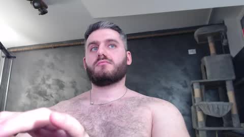 Snapshot of brad_pittfall chatting on March 2025 12:22:01 AM ask me online show from March 2025 12:22:01 AM