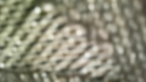 brandonconrad online show from February 2026 06:44:02 PM