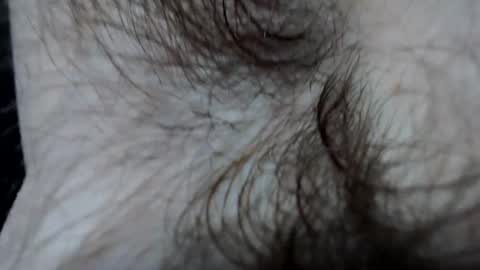 Snapshot of branflakes_ chatting on February 2025 11:10:02 PM branflakes_ online show from February 2025 11:10:02 PM