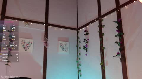 Brie  Ill be away November 2829 and 30. See u on Sunday for more fun online show from February 2025 08:57:01 PM