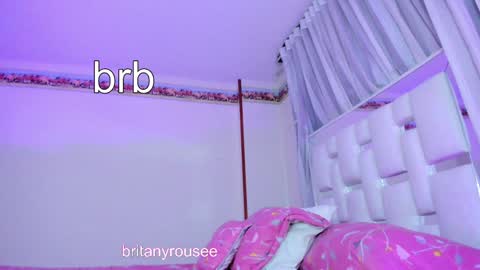 Snapshot of britanyrousee chatting on December 2024 10:42:01 PM Emily online show from December 2024 10:42:01 PM