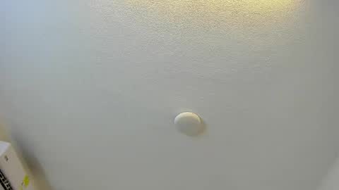 Snapshot of brittany069 chatting on March 2026 08:00:01 PM Brittany online show from March 2026 08:00:01 PM