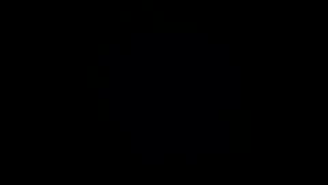 Snapshot of brontefox chatting on November 2025 10:27:01 AM brontefox online show from November 2025 10:27:01 AM