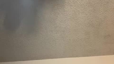 EtherealLilac online show from February 2025 03:50:02 AM