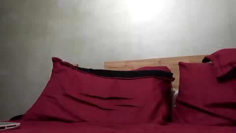 Snapshot of brushbarton_ chatting on February 2025 04:51:02 AM BRUSH BARTON online show from February 2025 04:51:02 AM