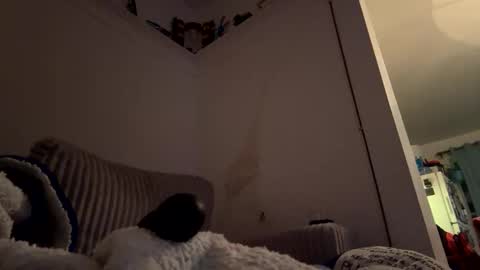 Snapshot of bubblya chatting on February 2026 06:19:02 AM bubblya online show from February 2026 06:19:02 AM