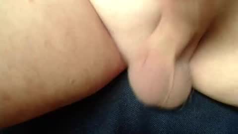 budddgardener online show from April 2026 02:23:02 PM