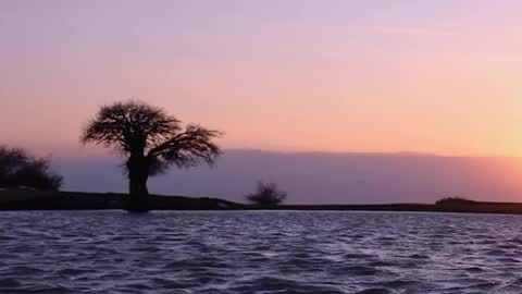 rskbing  online show from December 2025 08:39:01 PM