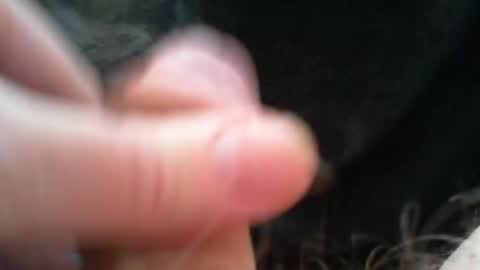 bullemoe online show from December 2025 09:13:02 AM