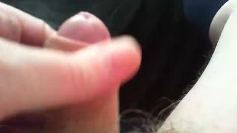 bullemoe online show from December 2025 12:33:02 PM