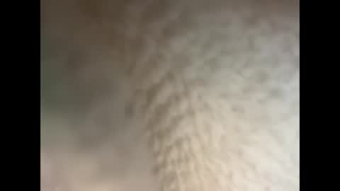 bull cub online show from December 2024 11:40:01 PM