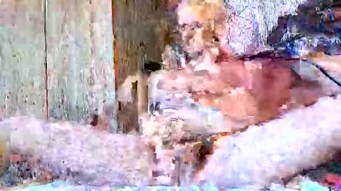 burnzart online show from September 2025 08:33:01 PM