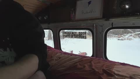 busbuddies online show from December 2024 04:19:02 PM