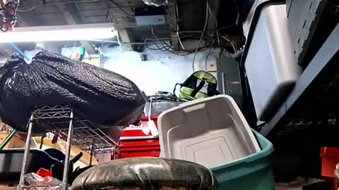 Snapshot of bushdoctor1 chatting on September 2025 09:53:02 AM bushdoctor1 online show from September 2025 09:53:02 AM