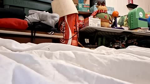 Snapshot of bushdoctor1 chatting on September 2025 07:22:02 AM bushdoctor1 online show from September 2025 07:22:02 AM