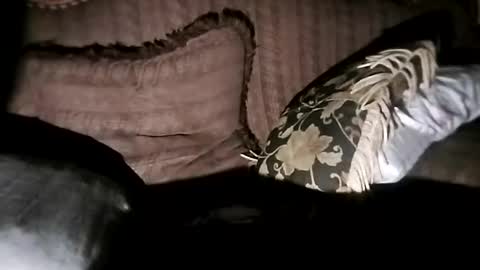 Snapshot of bxpapi69 chatting on November 2025 06:46:01 AM bxpapi69 online show from November 2025 06:46:01 AM