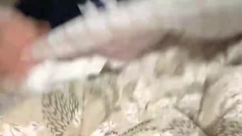 Marco online show from December 2024 08:54:02 PM