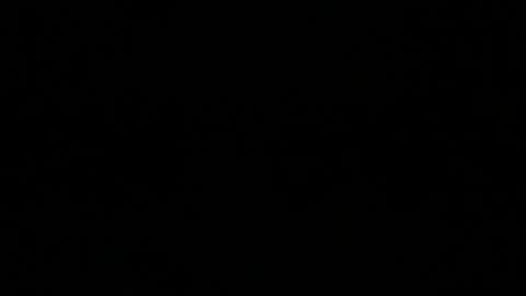 Marco online show from December 2024 01:35:01 PM