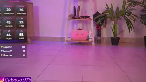 Snapshot of calypso_and_ge1 chatting on February 2025 09:42:01 PM Calypso and Kayla online show from February 2025 09:42:01 PM