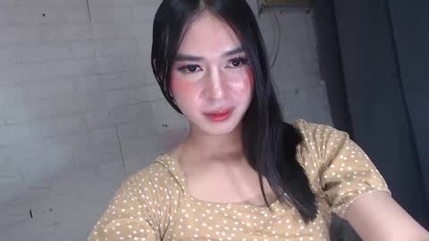 Snapshot of camela_star chatting on December 2024 04:31:02 AM camela_star online show from December 2024 04:31:02 AM