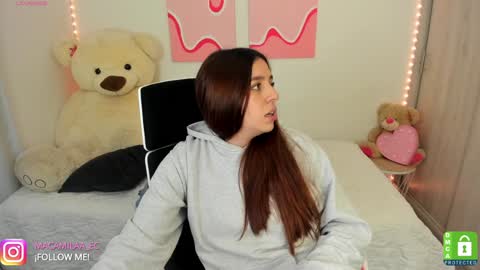 Snapshot of camila_ec2 chatting on December 2024 02:23:01 AM C A M I online show from December 2024 02:23:01 AM