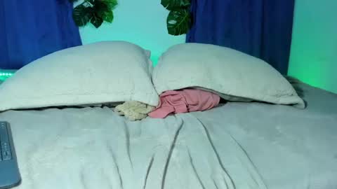 Snapshot of camilo_xcam chatting on February 2025 10:30:01 PM CAMILO online show from February 2025 10:30:01 PM