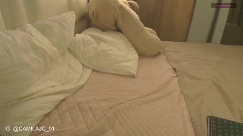 Laura Camila online show from January 2026 01:26:01 PM