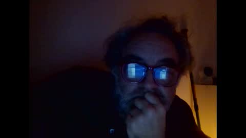 Snapshot of camoswan chatting on January 2025 10:08:01 AM Swan online show from January 2025 10:08:01 AM