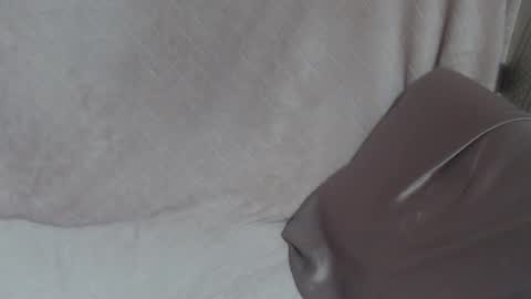 say meow and send tip  online show from February 2026 12:52:02 AM