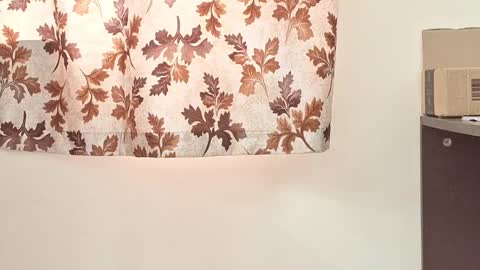 Snapshot of captain_juicyprecum chatting on March 2025 07:54:02 AM captian juicyprecum online show from March 2025 07:54:02 AM