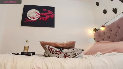 carolina online show from December 2024 11:03:02 PM