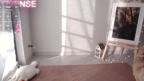 NONA    follow online show from December 2024 08:37:02 AM