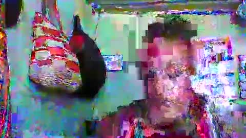 Snapshot of carinesexy69 chatting on January 2025 10:40:02 AM carinesexy69 online show from January 2025 10:40:02 AM