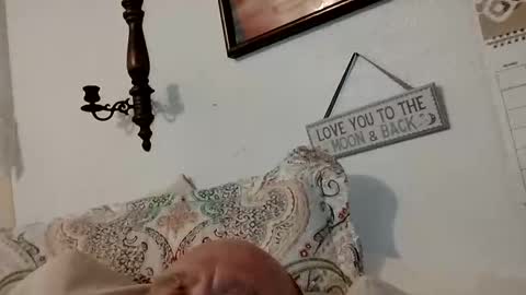 carldhammers online show from October 2025 03:15:01 AM