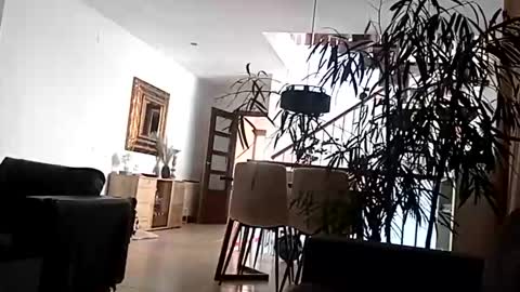 carlitito1 online show from April 2026 09:16:01 AM