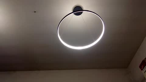 Carlos online show from February 2025 07:23:02 PM