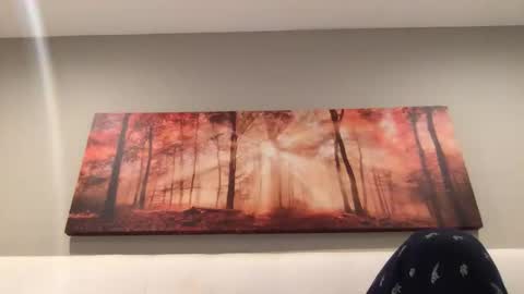 carlosmagati1 online show from October 2025 09:43:01 AM
