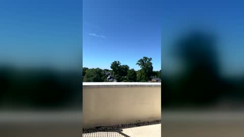 Snapshot of carmencash_ chatting on May 2026 02:15:02 PM Carmen Cash online show from May 2026 02:15:02 PM
