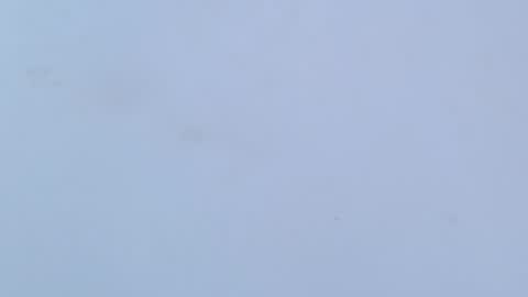 Snapshot of caro_loving chatting on February 2026 03:24:01 AM caro online show from February 2026 03:24:01 AM