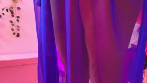 CAROL online show from February 2026 12:15:01 PM