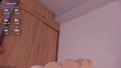 carolinna_ online show from February 2026 01:45:04 AM