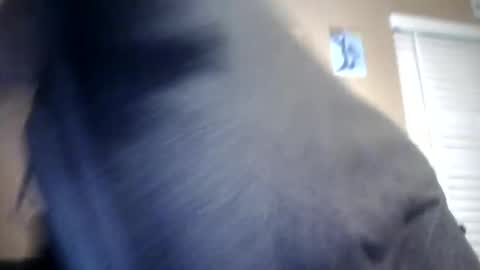 carsonlueders8775 online show from January 2025 01:56:02 AM