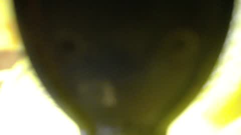 Snapshot of catalina201 chatting on June 2026 02:09:01 AM catalina201 online show from June 2026 02:09:01 AM